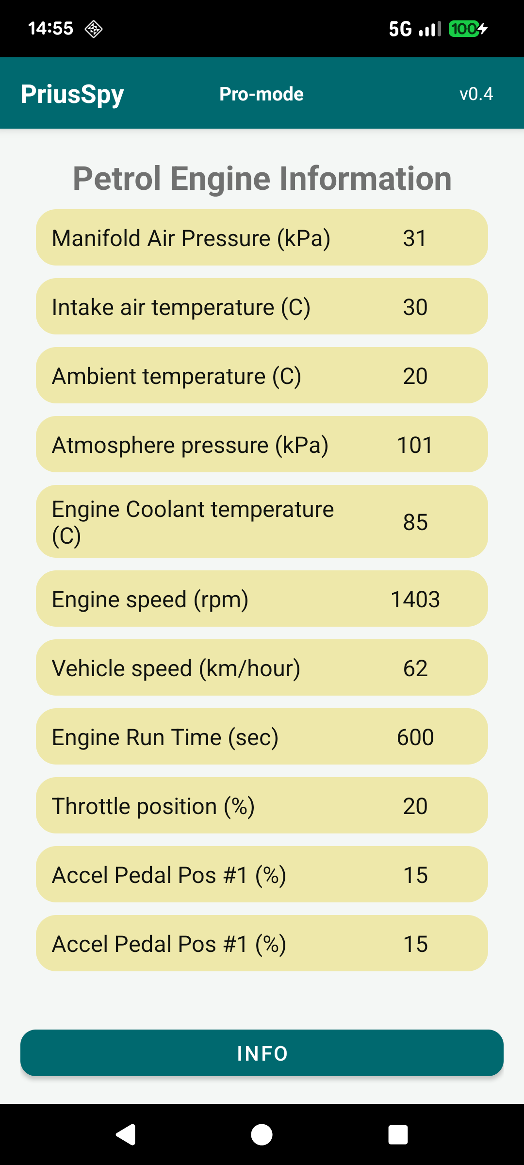 Petrol Engine Information screen